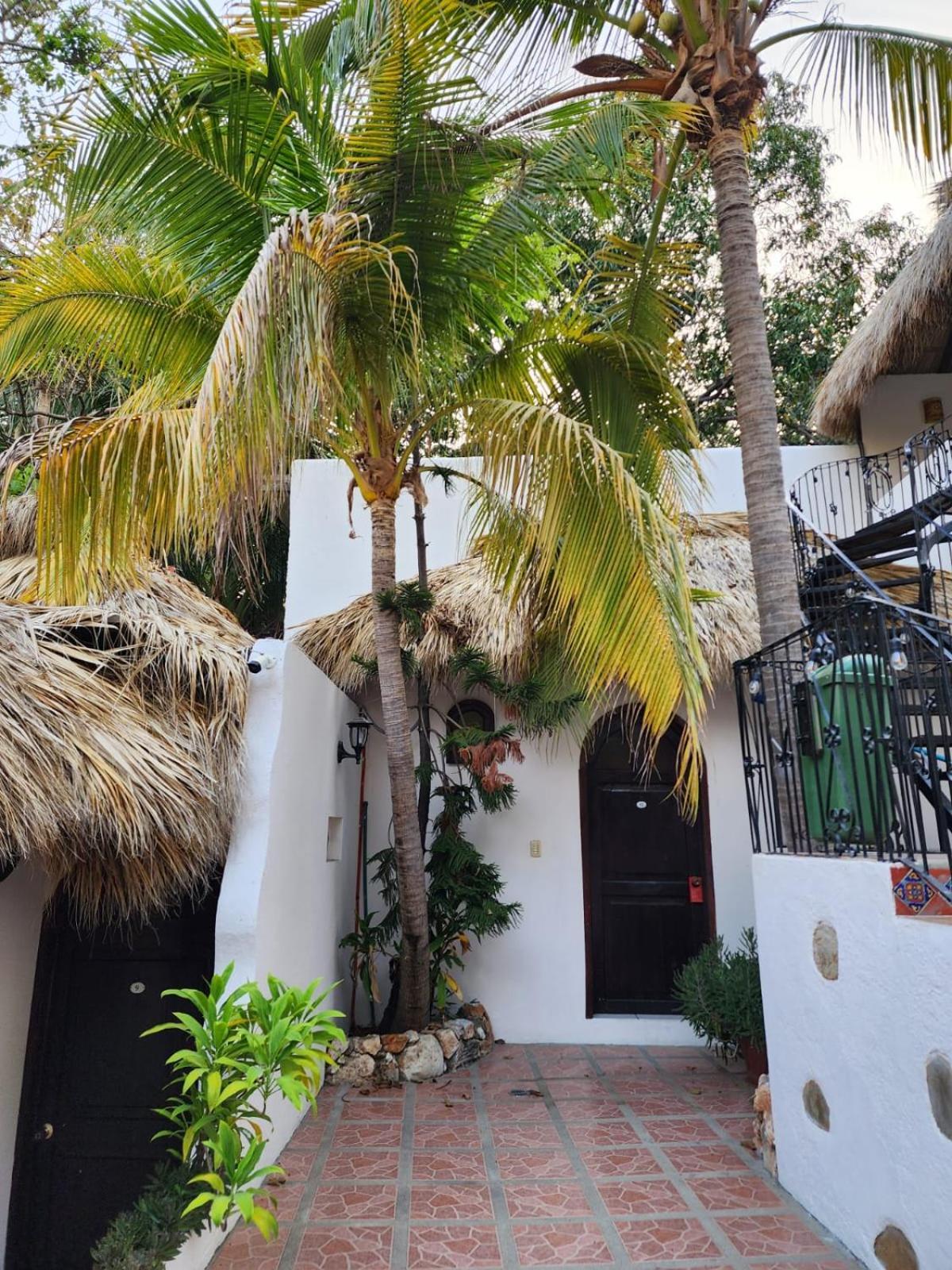 Hotel Esencia Puerto Escondido Puerto Escondido  Exteriér fotografie
